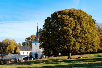 Grand arbre et église Saint-Lambert sous un ciel bleu