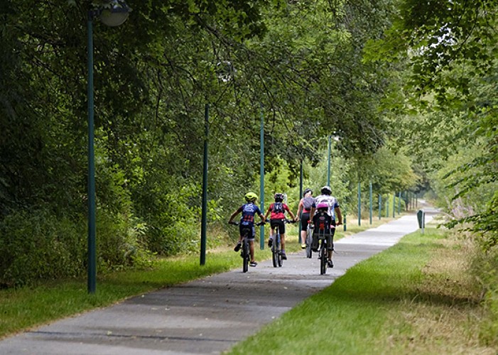 Balade à vélo sur une piste cyclable boisée près de Bastogne