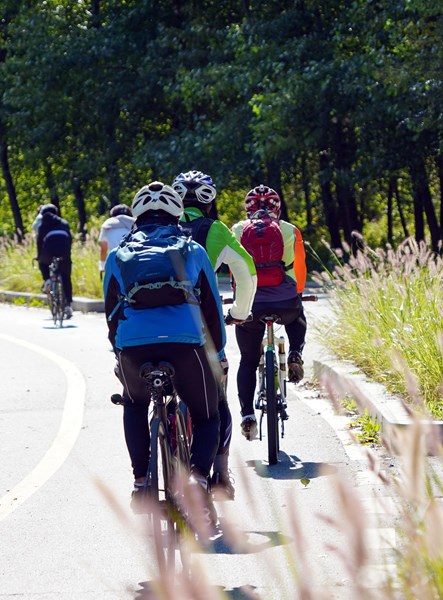 Groupe de cyclistes sur une piste cyclable près de Bastogne