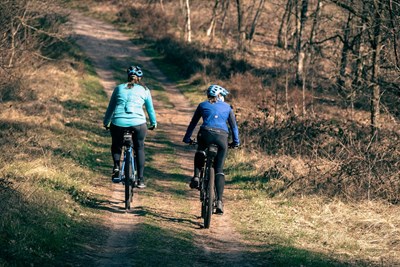 Deux cyclistes sur un sentier forestier en automne