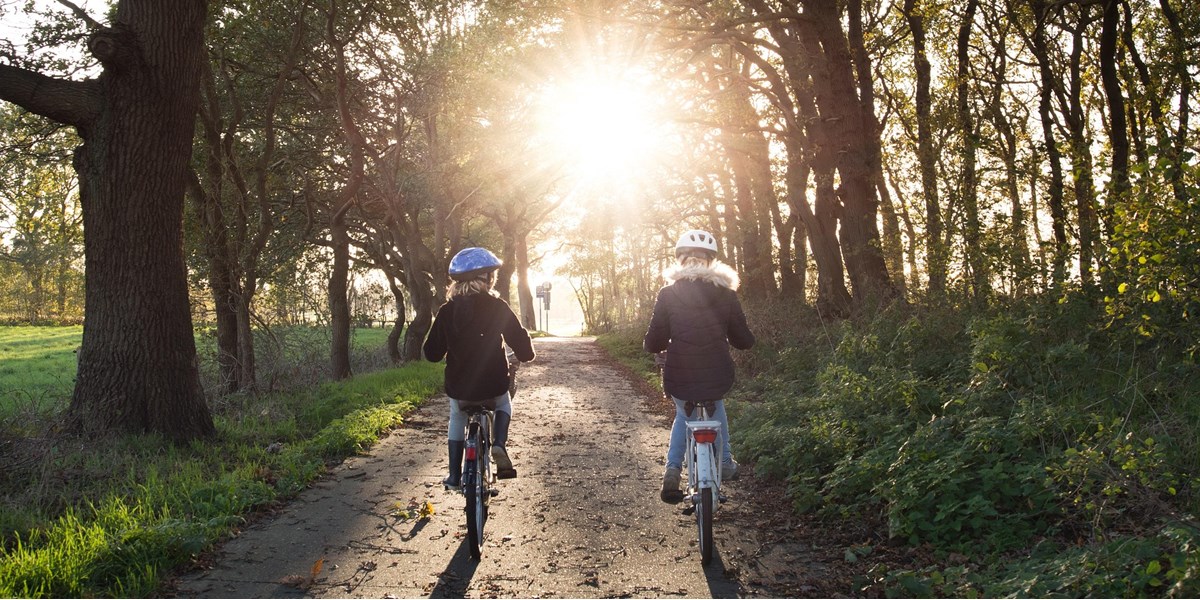 Deux cyclistes sur un chemin forestier au soleil couchant