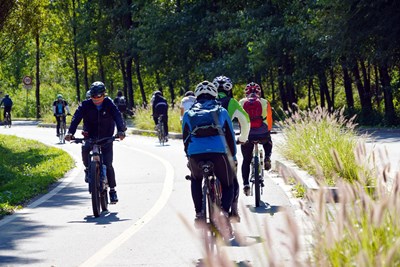 Groupe de cyclistes sur une piste cyclable près de Bastogne