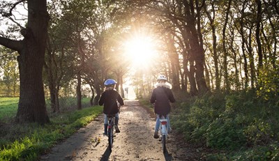 Deux cyclistes sur un chemin forestier au soleil couchant